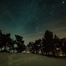 starry winter night