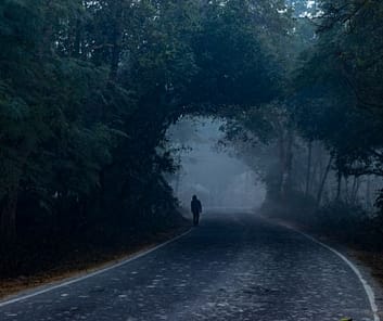 Silloutte of person walking on a wooded road in the mist.