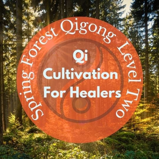 Image of forest with the words "Spring Forest Qigong Level Two - Qi Cultivation for Healers"